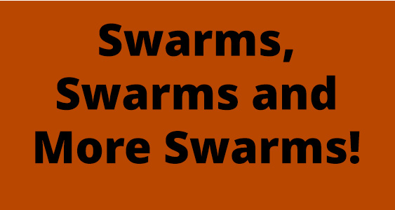 Swarm Issue Page Thumbs March 2026