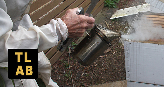 Smoker Thumbs Nov 2025