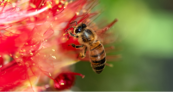 Kenya Thumbs April 2026 Copy