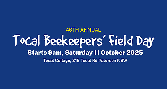 Tocalfd Thumb Oct 2025