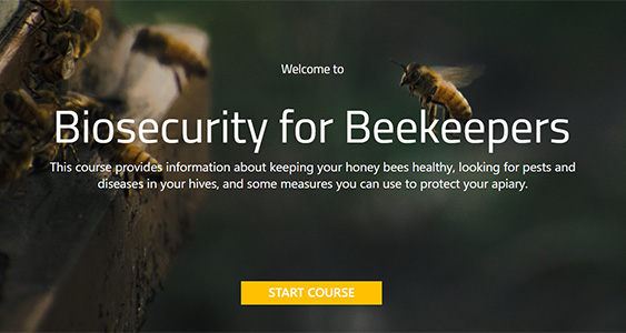 BOLT Issue Page Thumbs FEB 2026