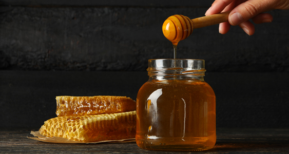 Honey Levy Thumb