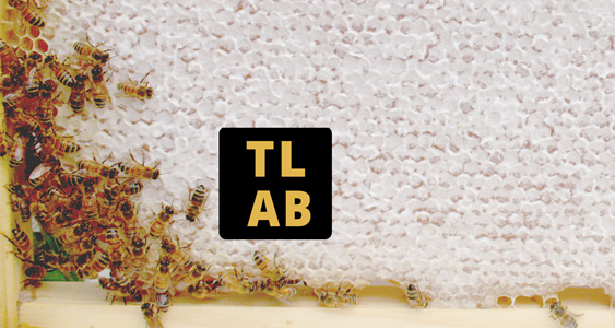 TLAB Thumbs April 2026 Copy