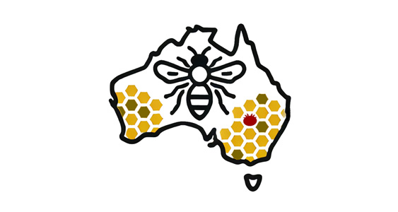 Coloss Thumbs Oct 2025