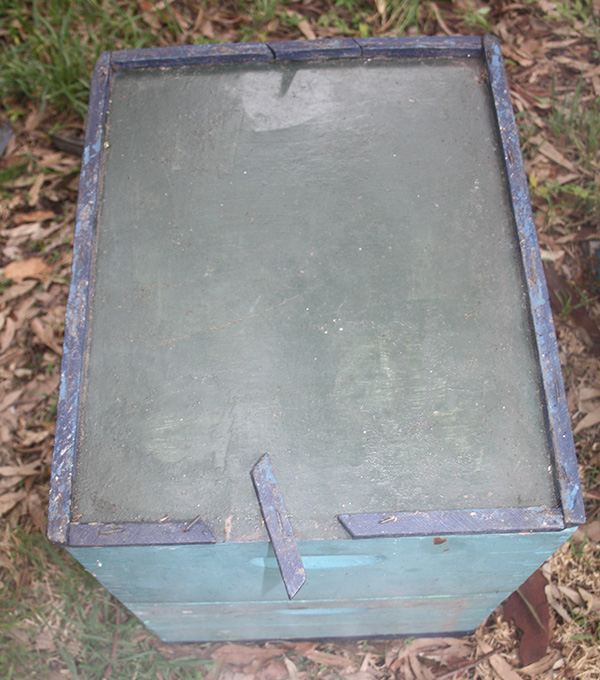 IMG 0013 601