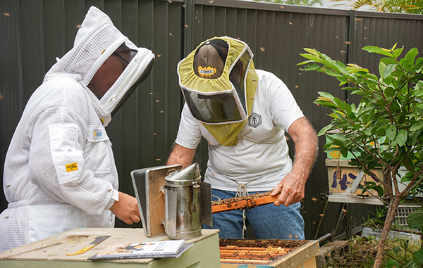Gold Coast Amateur Beekeepers Society Training Workshop 600