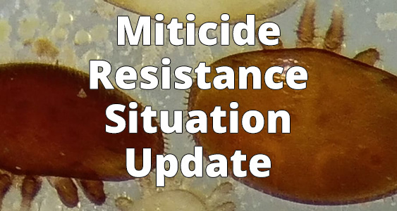 Miticide Resistance Issue Page Thumbs May 2026 Copy