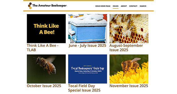 Editor Issue Page Thumbs FEB 2026