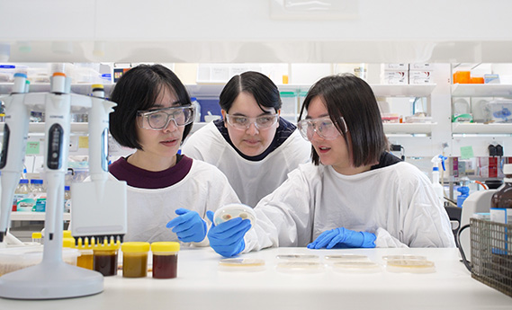 Checking Results Narrow