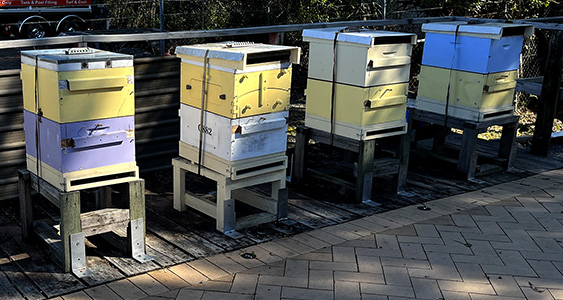 Earthquake Thumbs Nov2025