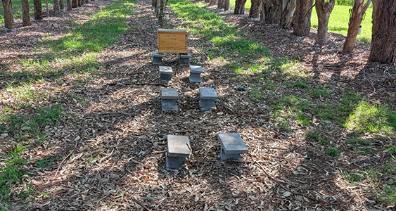 Nukes Issue Page Thumbs March 2026