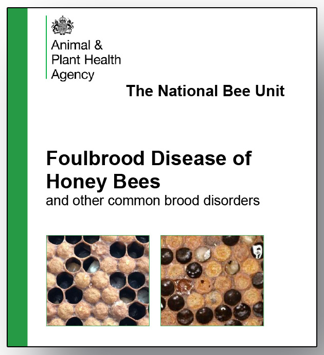 Foulbrood 2025 Cover 600 Crop DS2