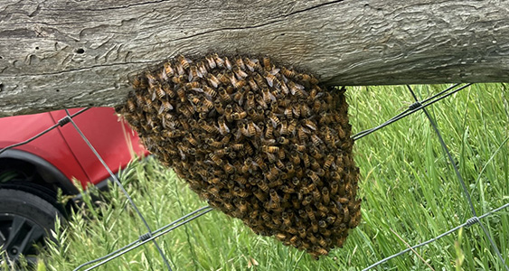 Orange Issue Page Thumbs March 2026