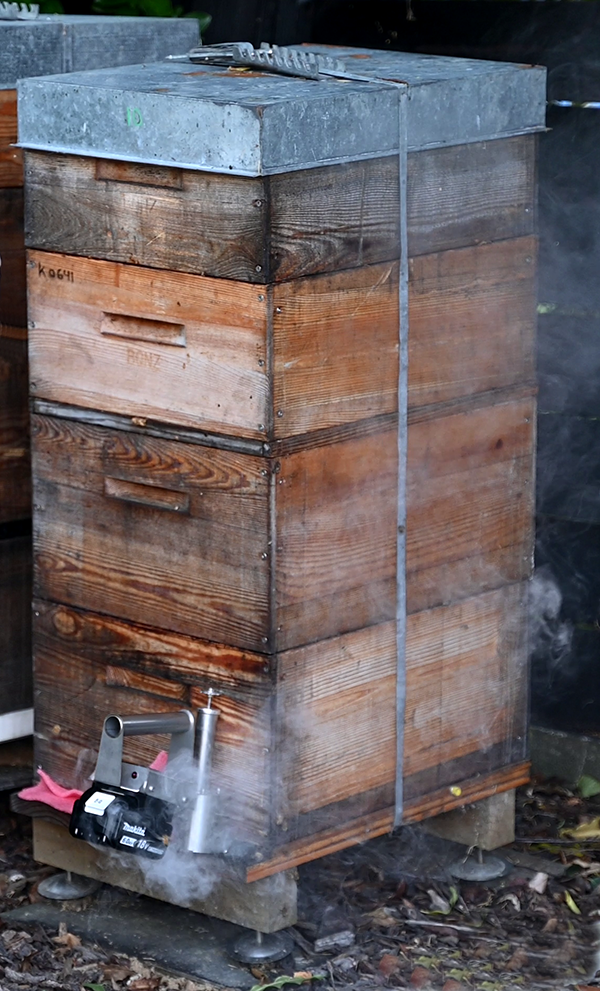 Sublimation07crop600 (1)