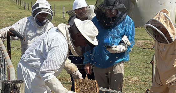 Sentinel Issue Page Thumbs JAN 2026