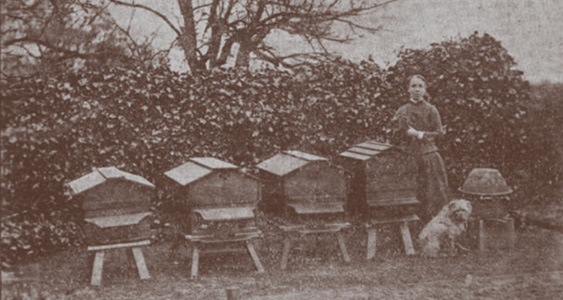 Bee Garden Issue Page Thumbs FEB 2026 Copy 2