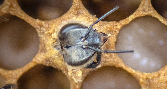 Photos Thumbs DEC 2025