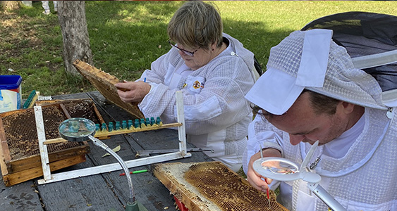 Cumberland Issue Page Thumbs March 2026