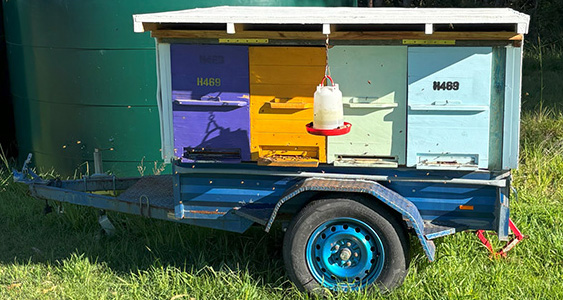 Issue Page Thumb Slovenian April 2026