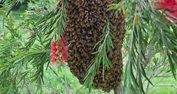 Jacqui Issue Page Thumbs March 2026