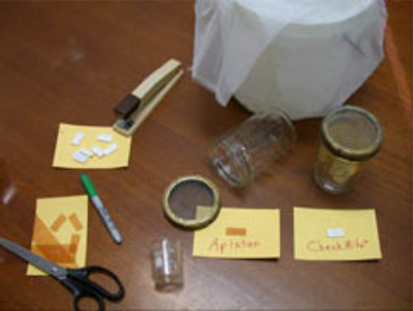 Materials Setup Photo