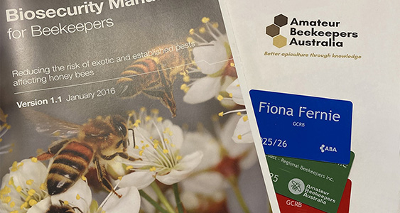 Cards Thumbs Oct 2025